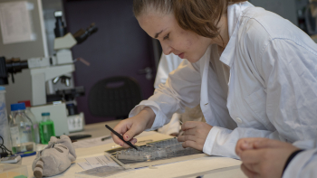 fotografie studenta